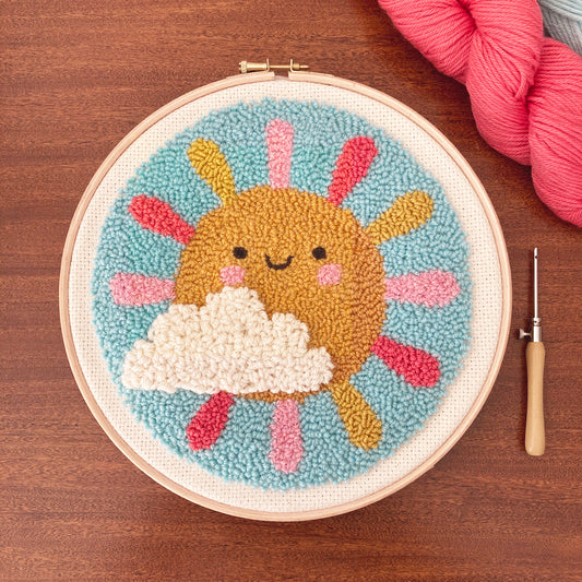 Punch Needle Embroidery Kit For Beginners To All Levels